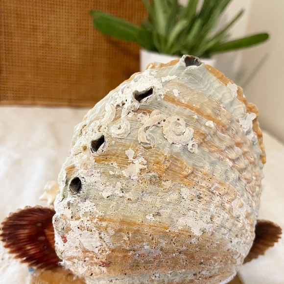 VTG | Retro 1950s MCM Abalone Shell Art Sculpture - Picture 14 of 16